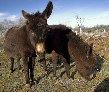 januari 02, 2008