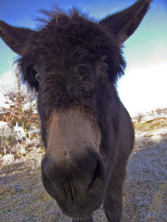 januari 02, 2008